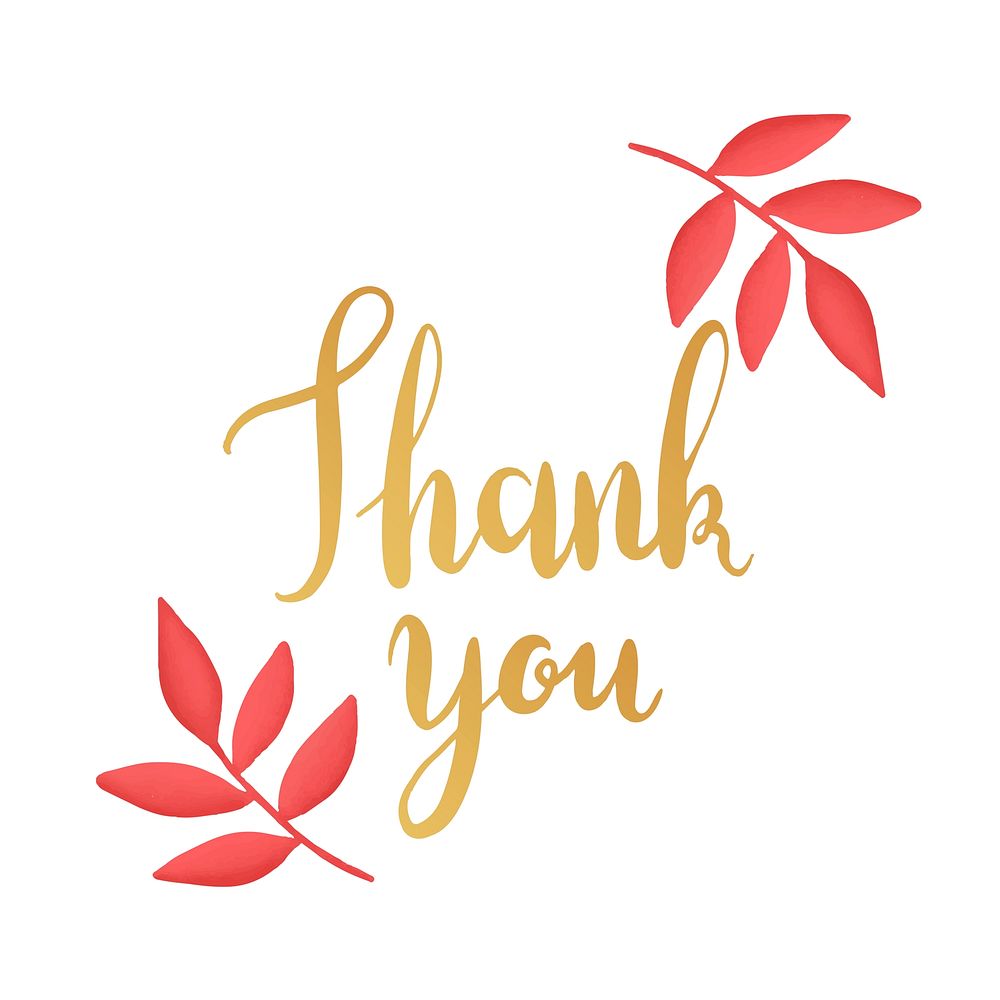 Golden thank you typography vector