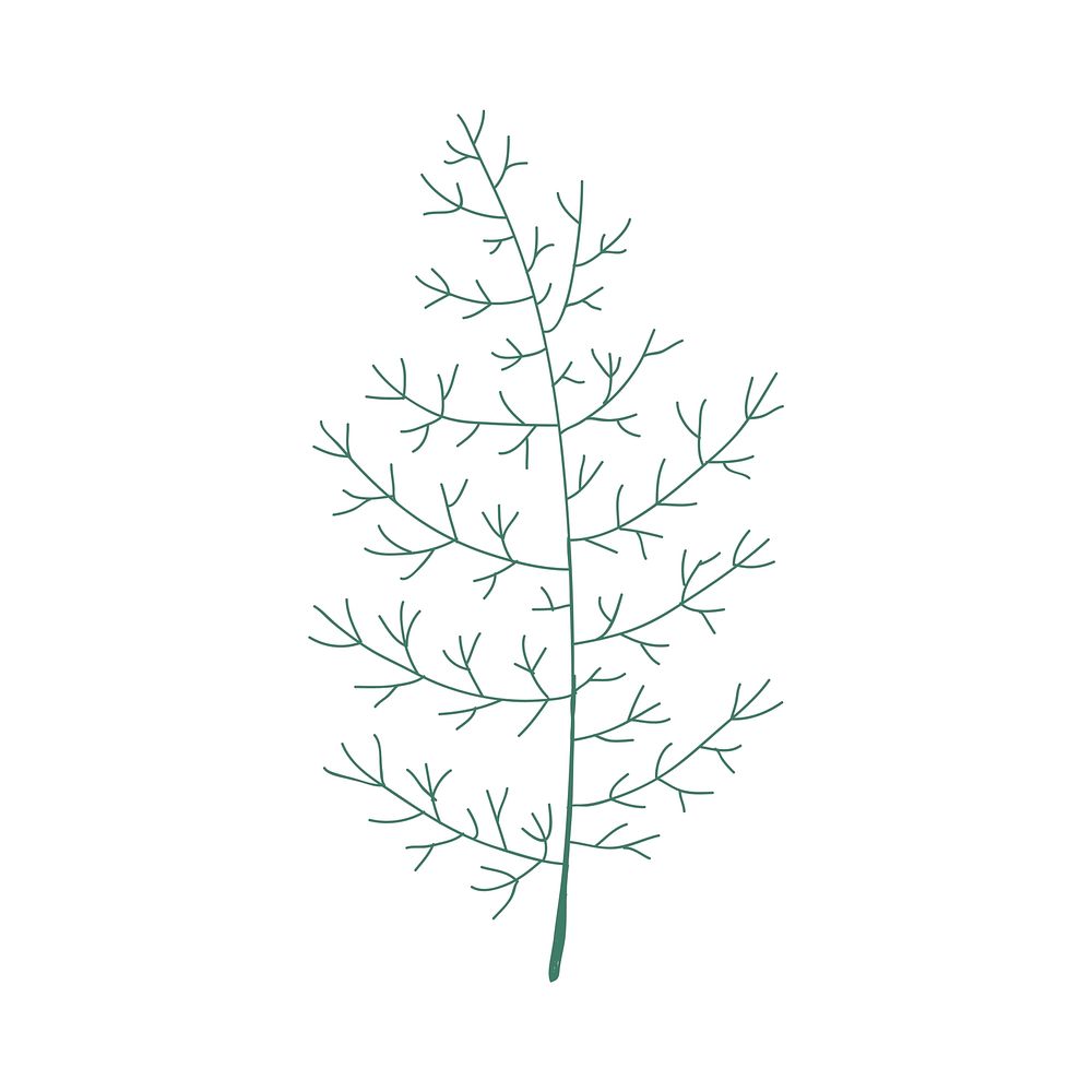 Tree illustration vector