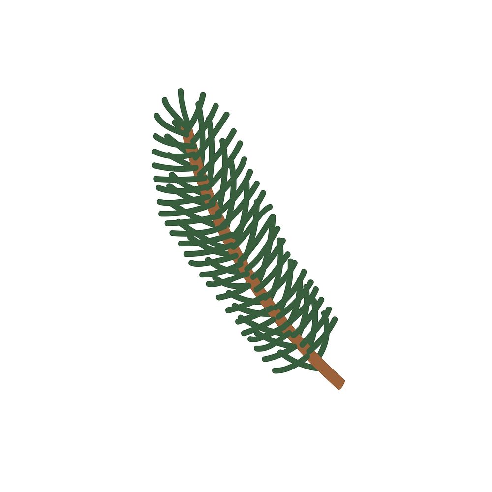 Pine tree leaf vector