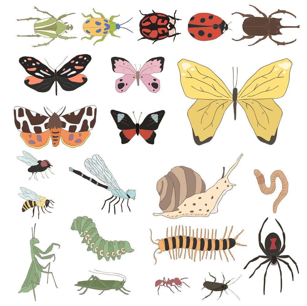 Vector of different kinds of insects