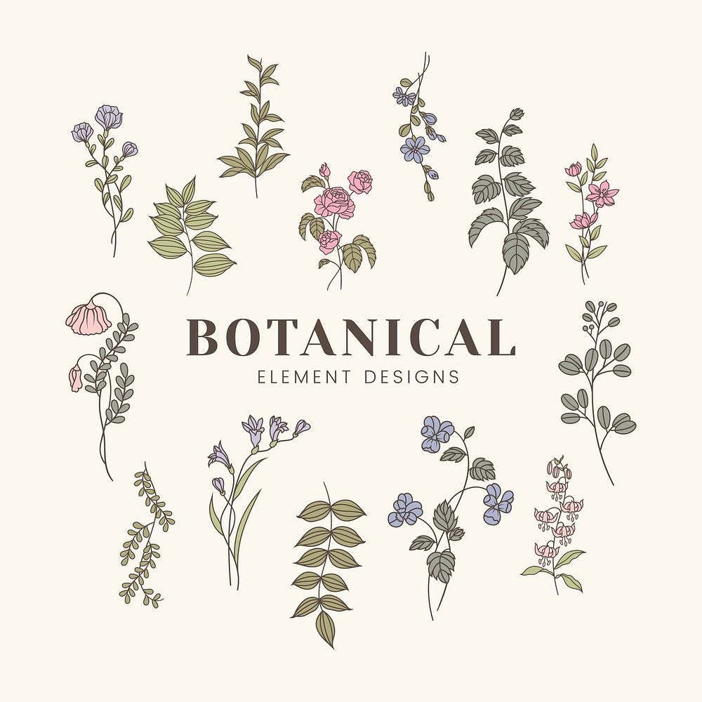 Blooming botanical element design vector