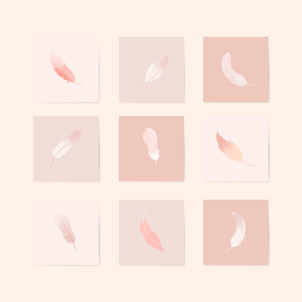 Pink lightweight feather collection vectors