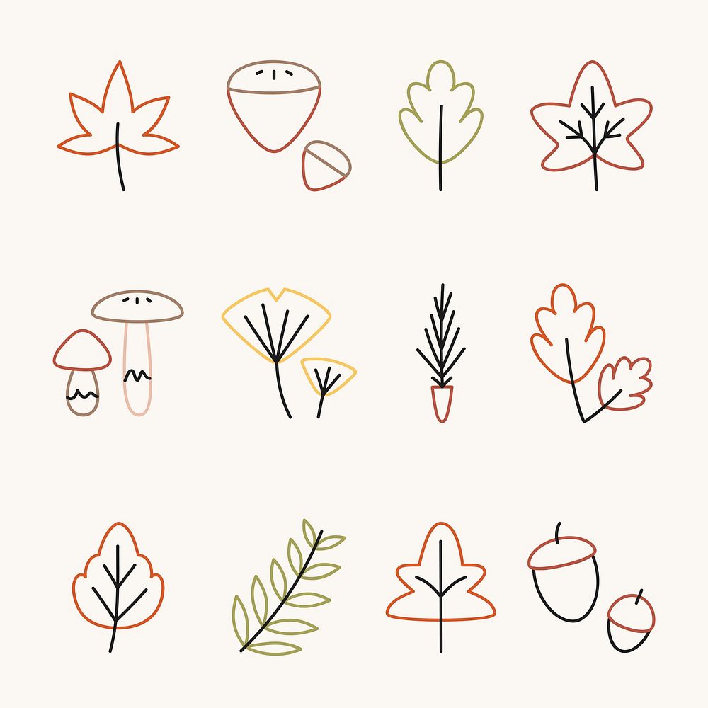 Colorful autumn leaves collection vector