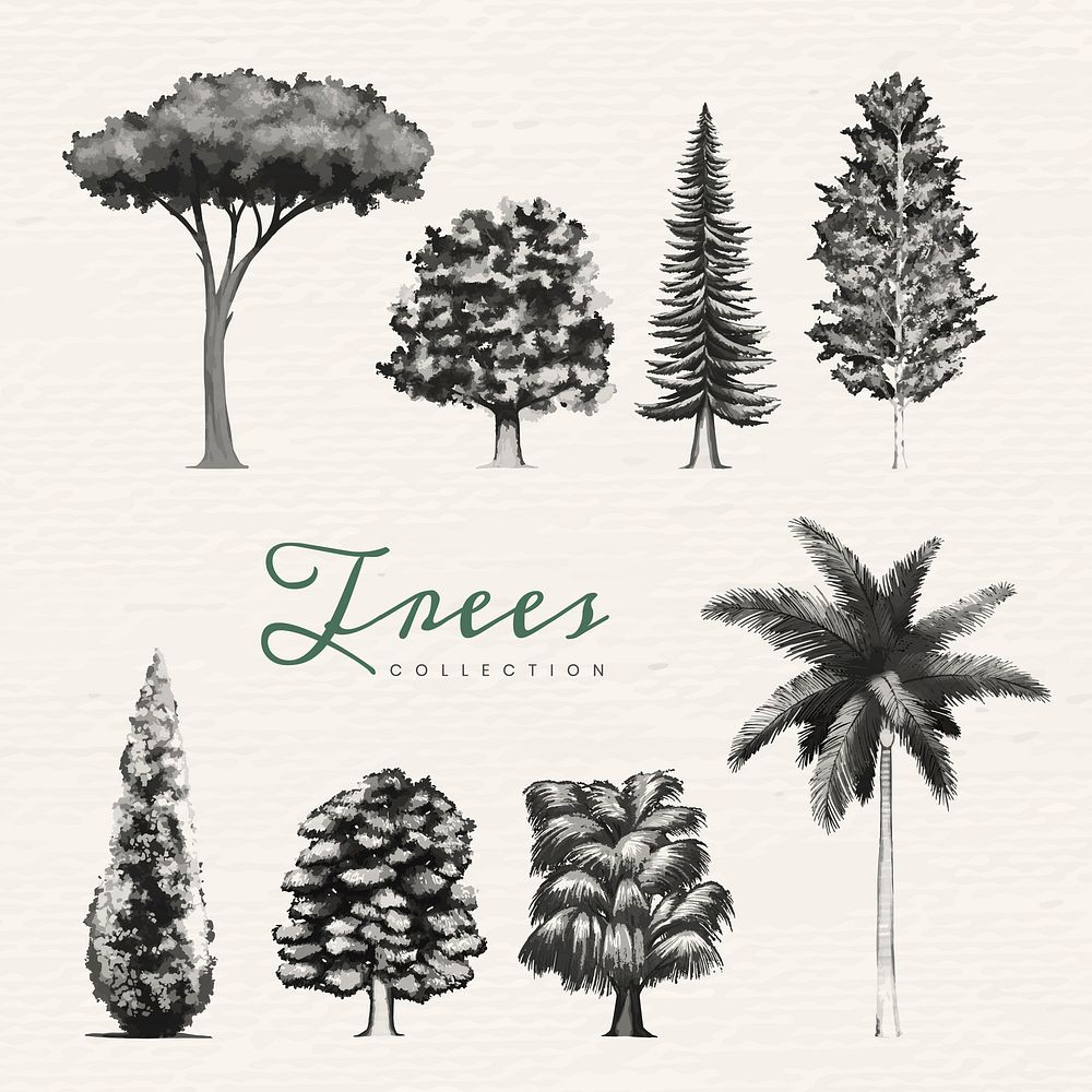 Hand drawn trees in gray vector set