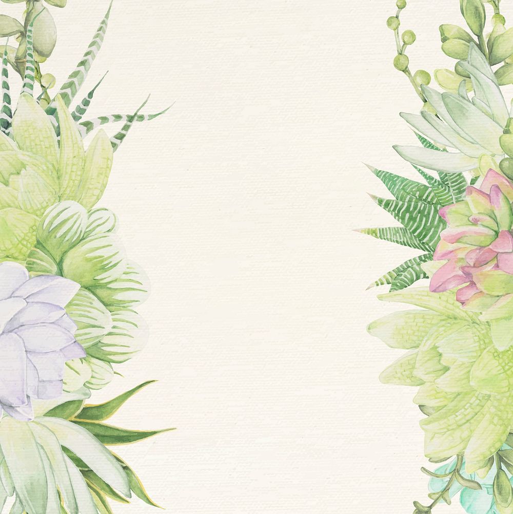Hand drawn succulent themed background vector