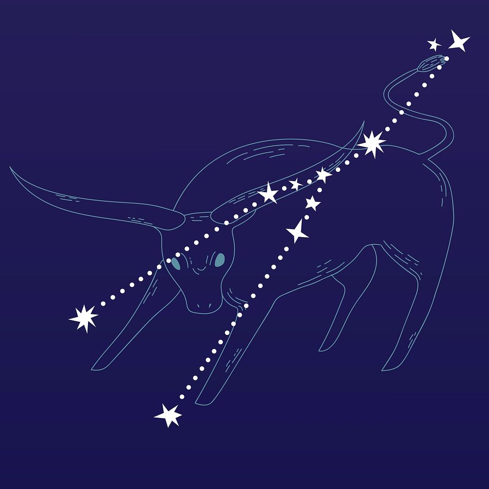 Taurus astrological sign design vector