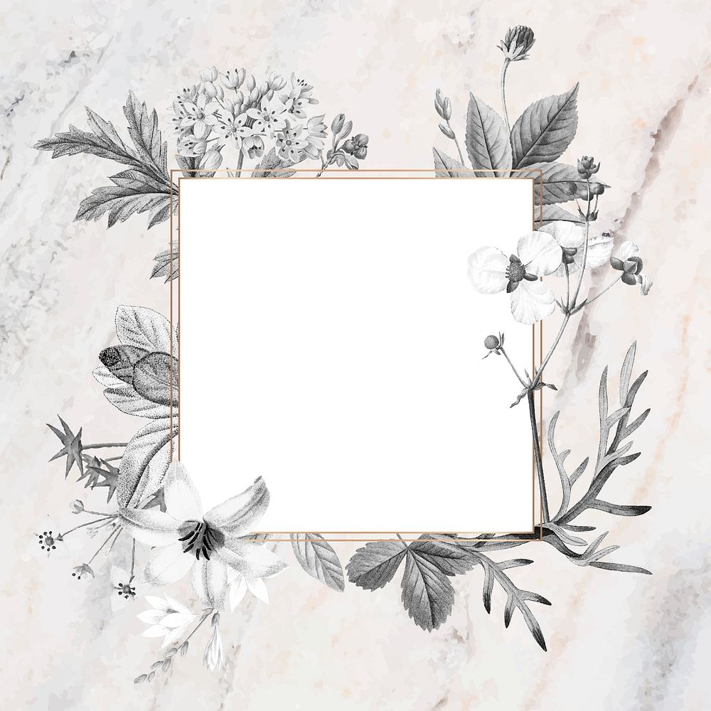 Blank square floral frame design vector