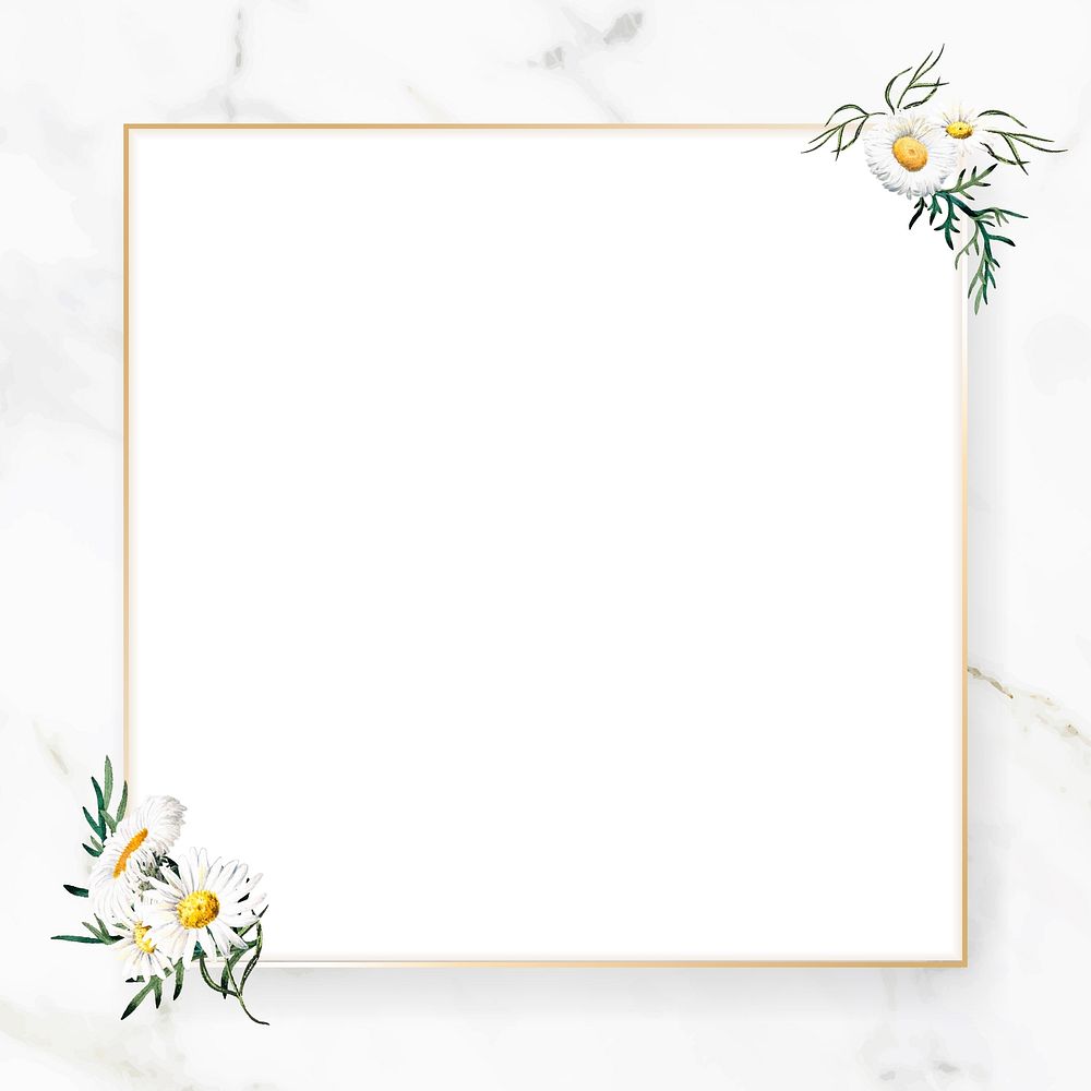 Blank floral square frame vector