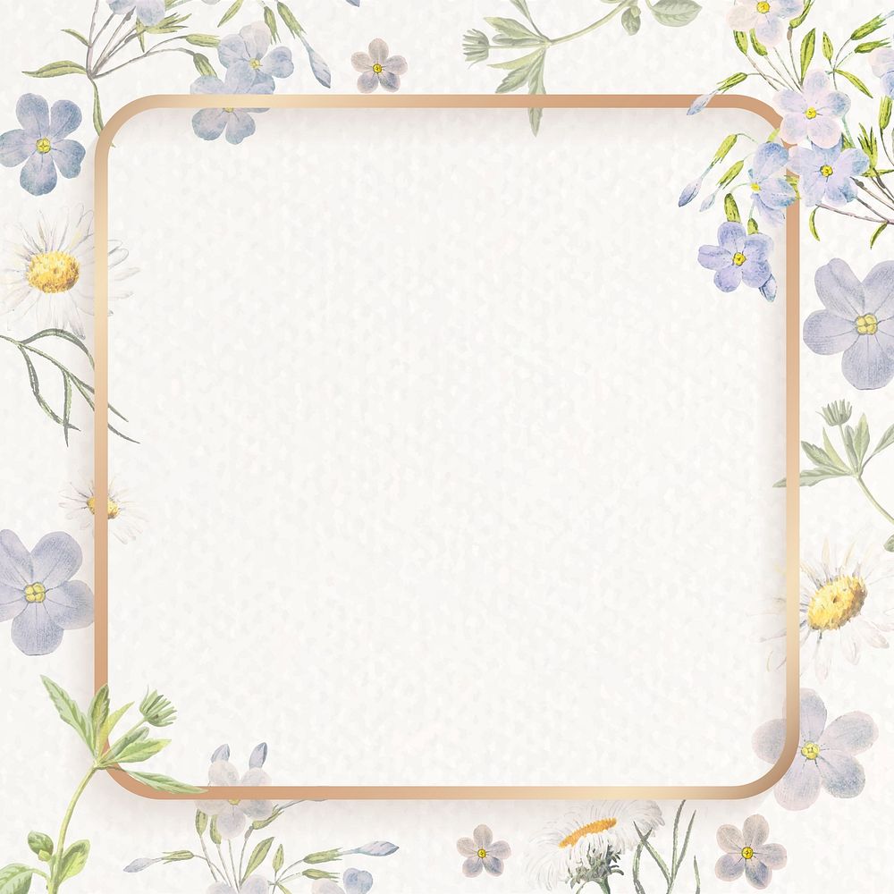 Blank floral square frame vector