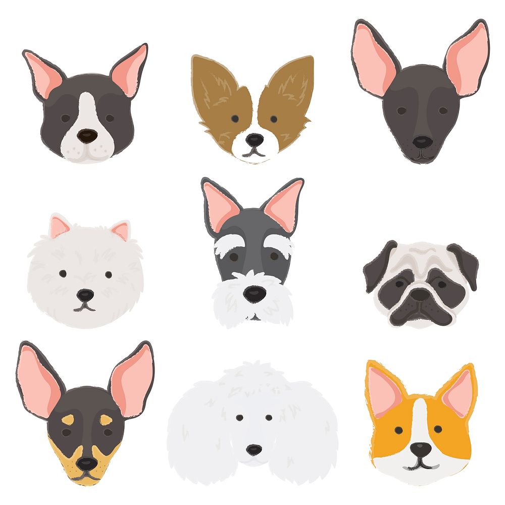 Illustration of dogs collection