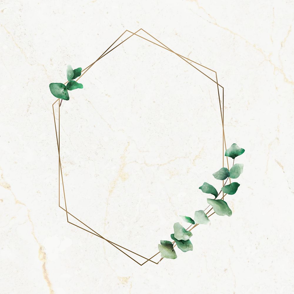 Hand drawn eucalyptus leaf with hexagon gold frame vector