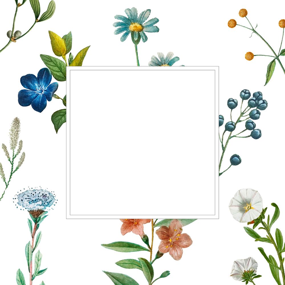 Floral frame psd white background vintage illustration