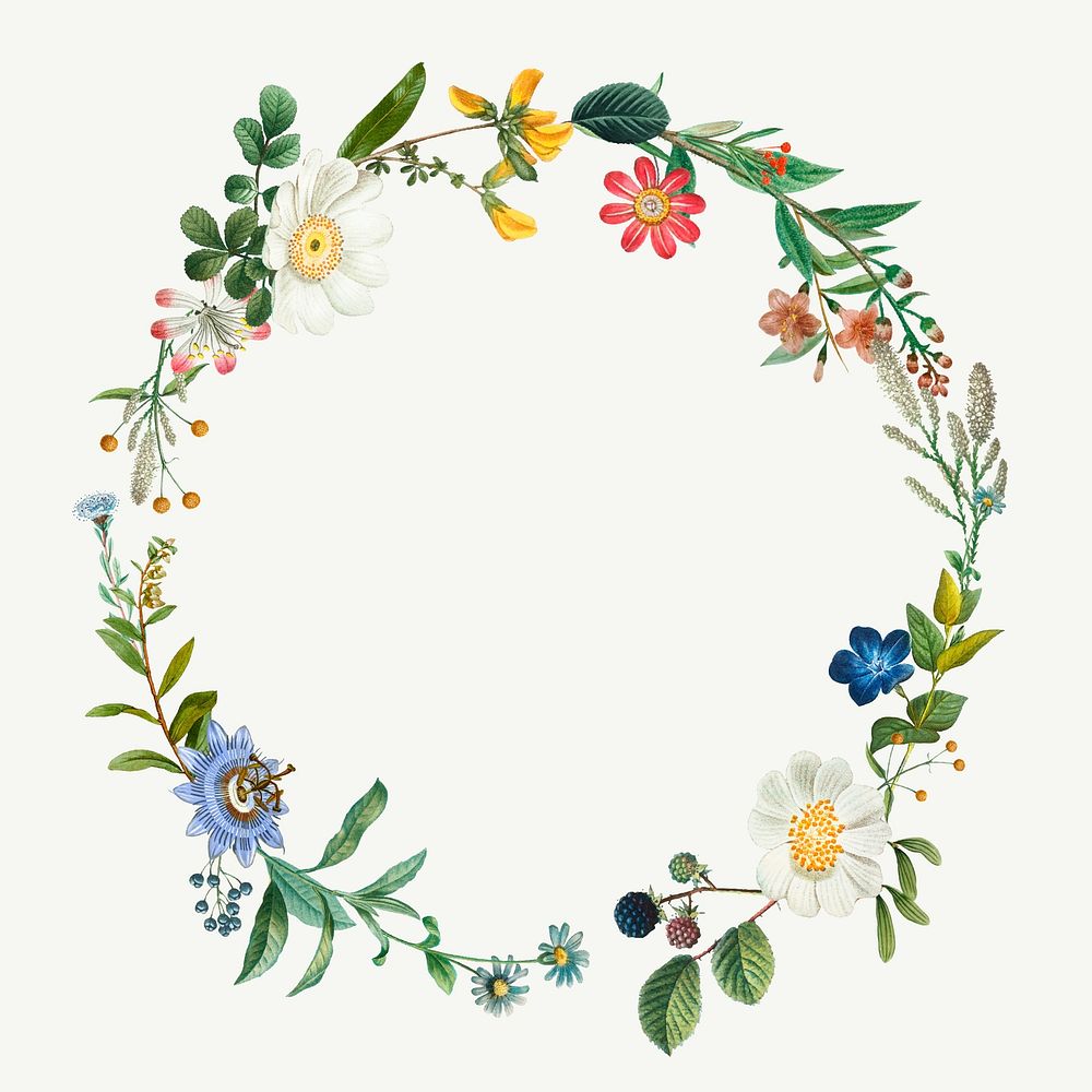 Vintage botanical frame vector wreath