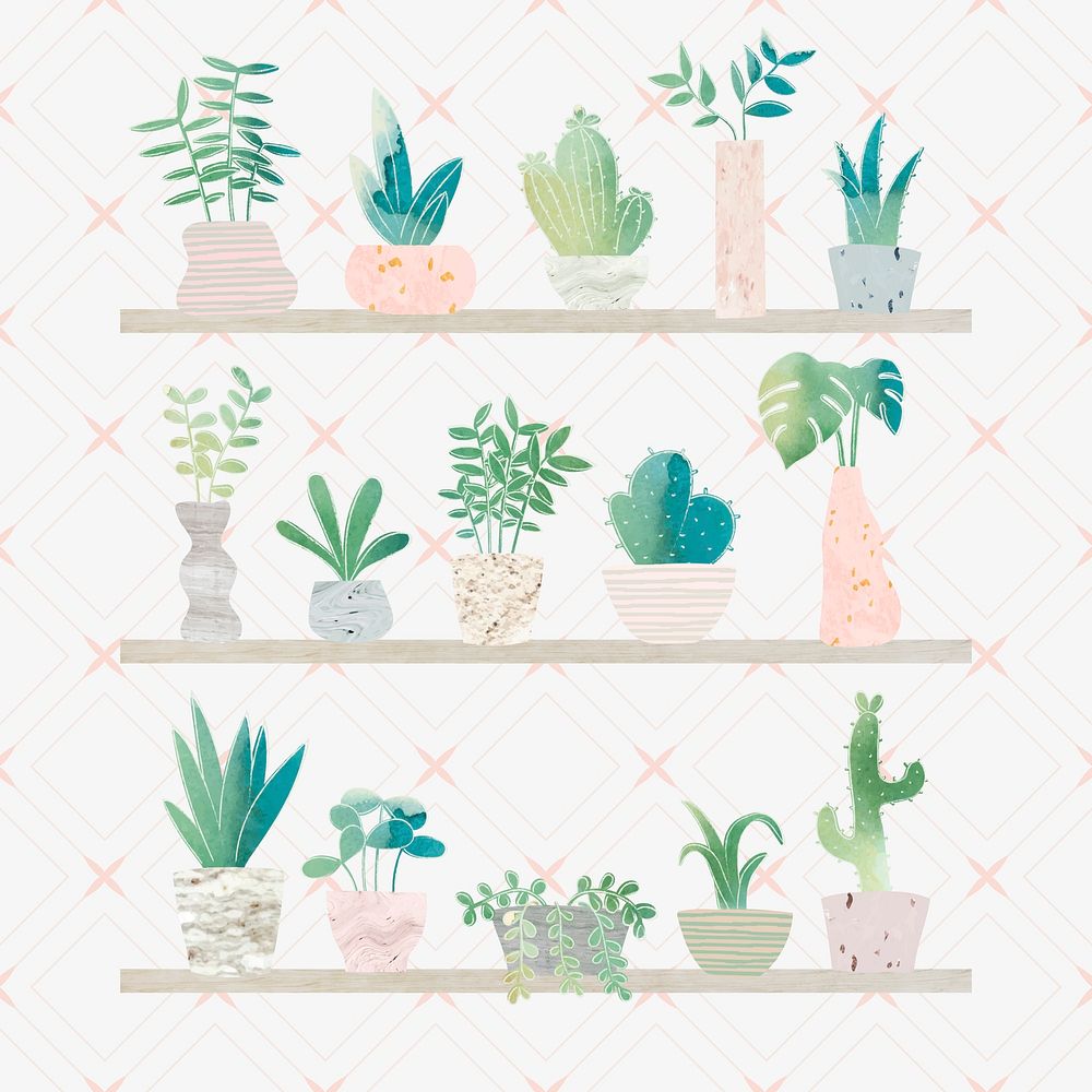 Green botany cactus collection vector