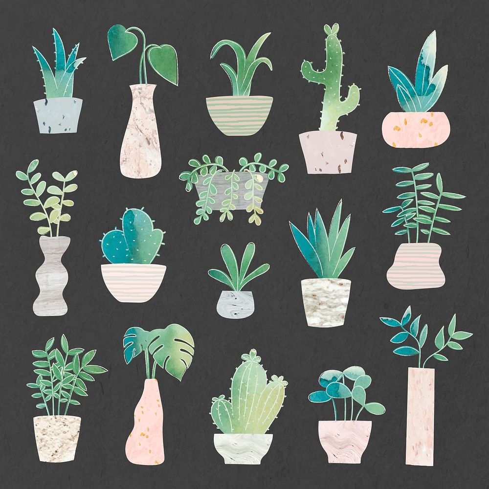 Green cute cactus collection vector