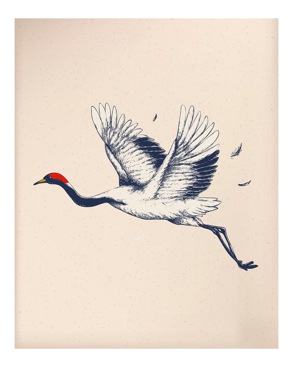 Japanese crane wall art print and poster.