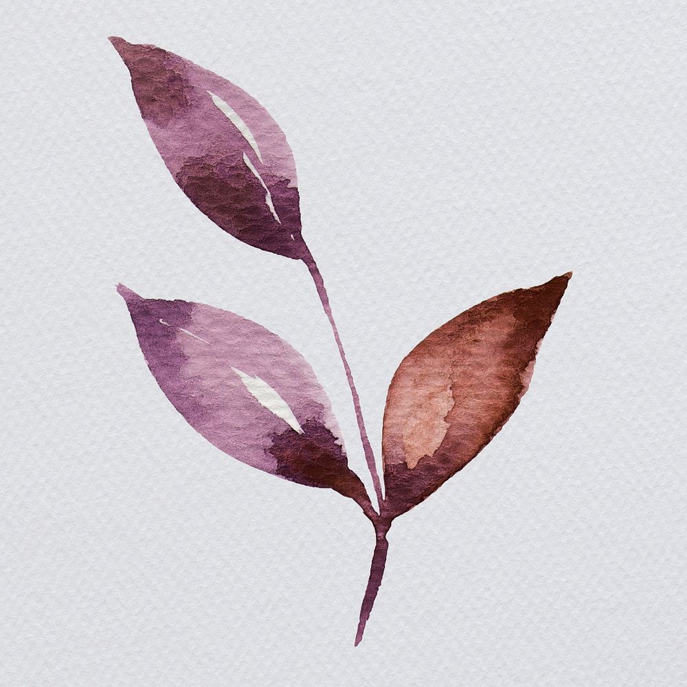 Hand painted purple watercolor leaf