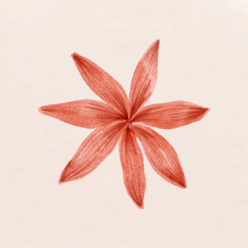 Hand drawn red flower vector