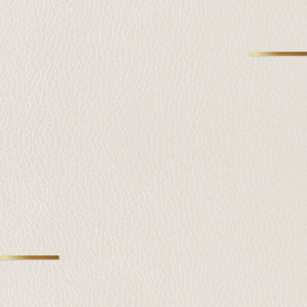 Gold frame on beige leather background vector