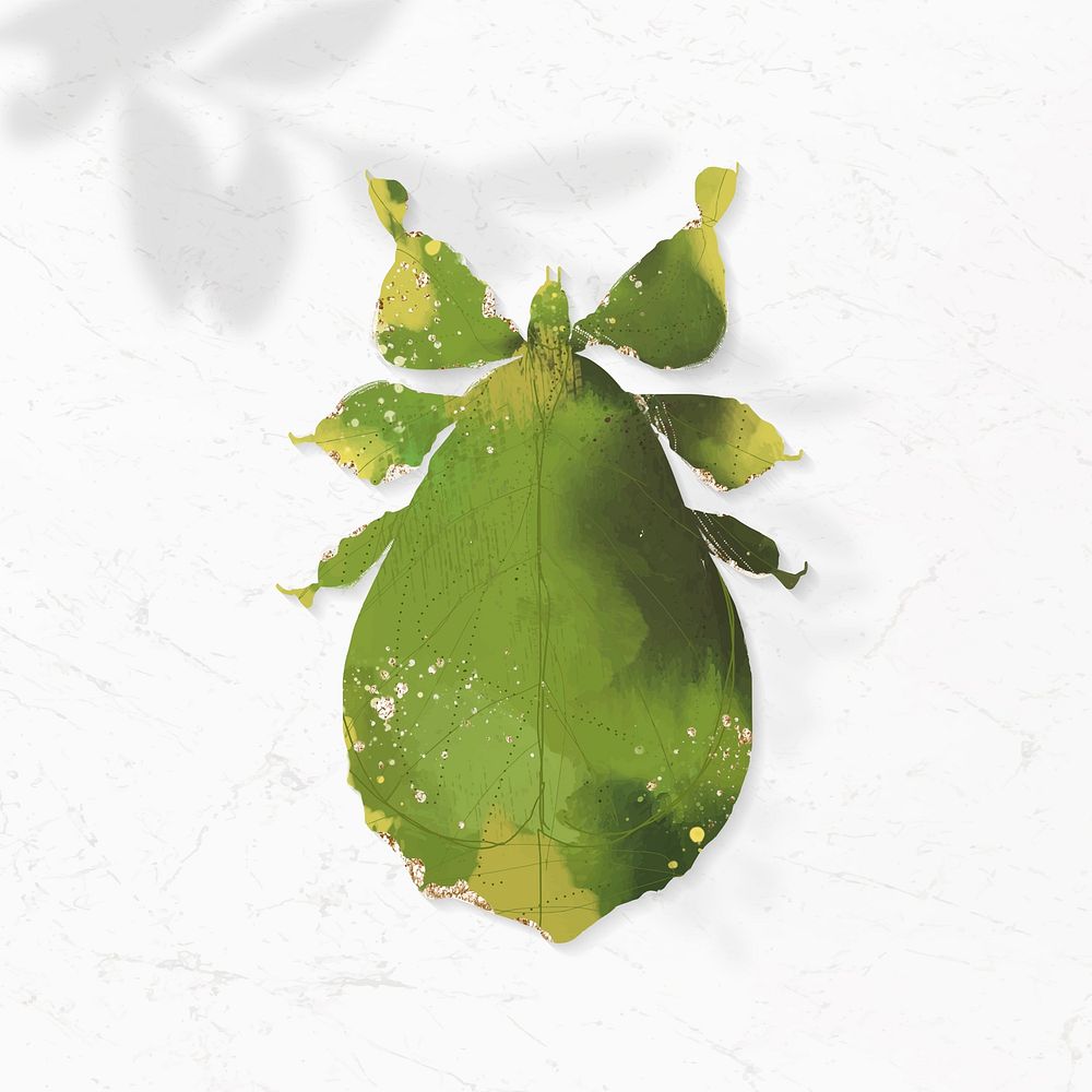 Cute watercolor leaf insect vector
