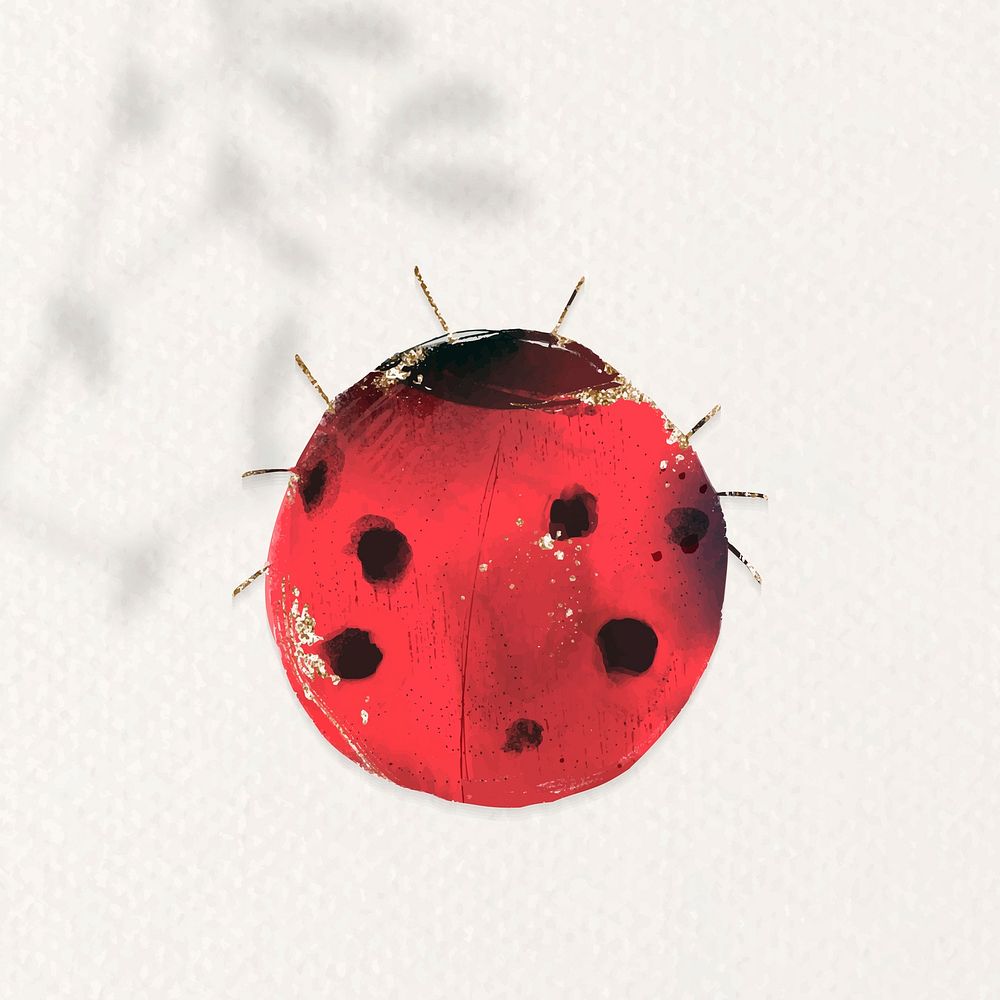 Cute watercolor ladybug vector