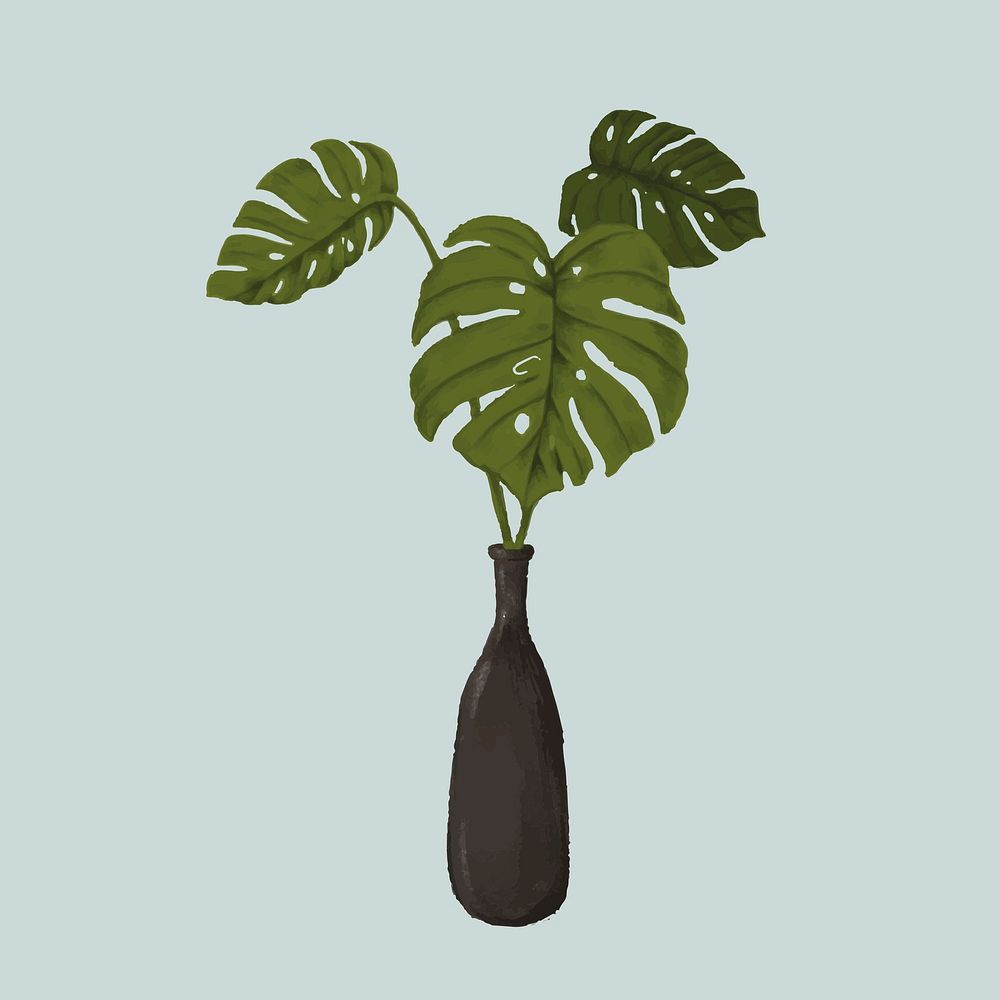 Monstera split-leaf in a vase sketch style vector