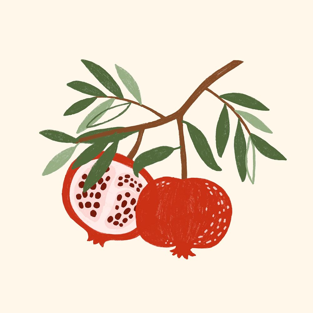 Hand drawn pomegranate design resource vector