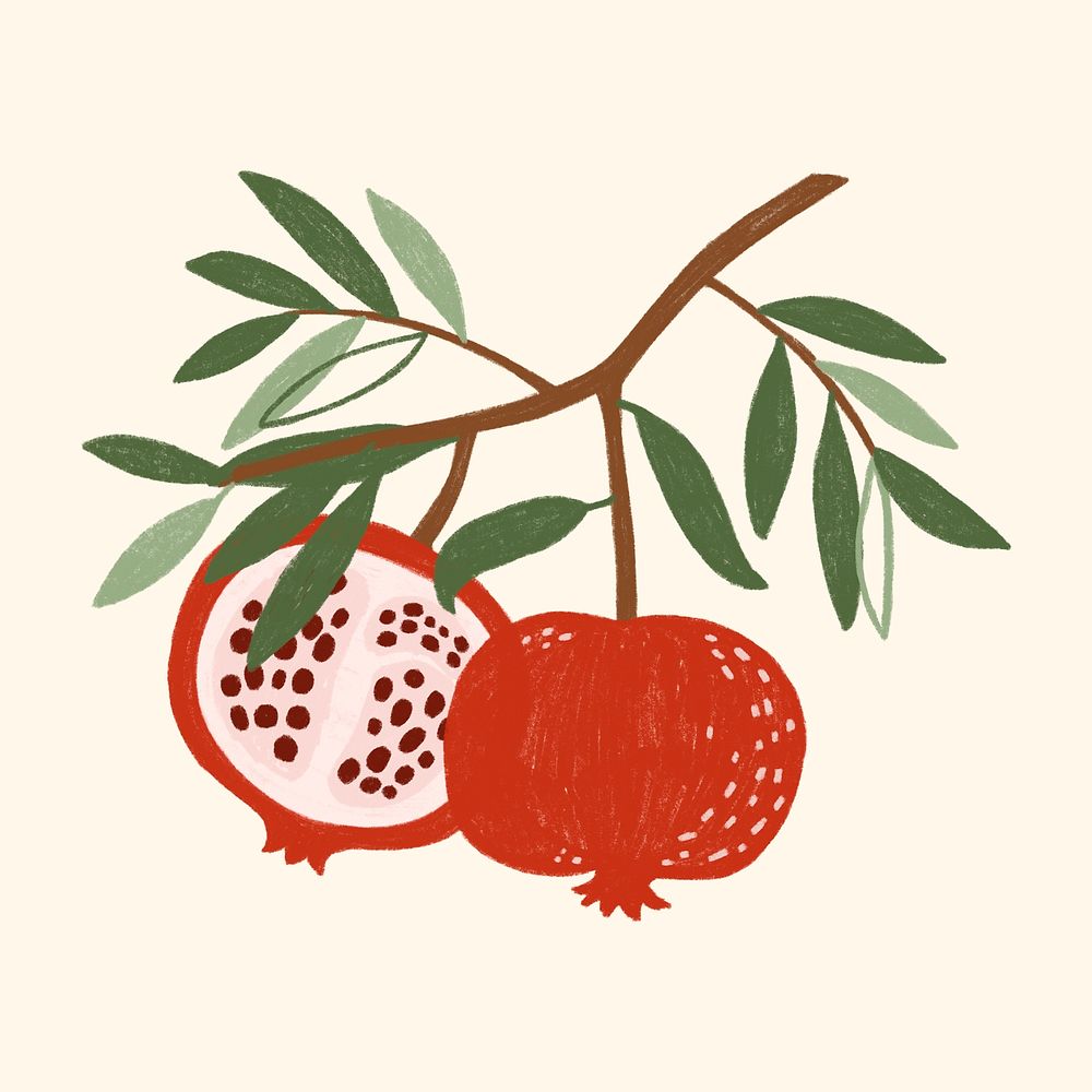 Hand drawn pomegranate design resource mockup