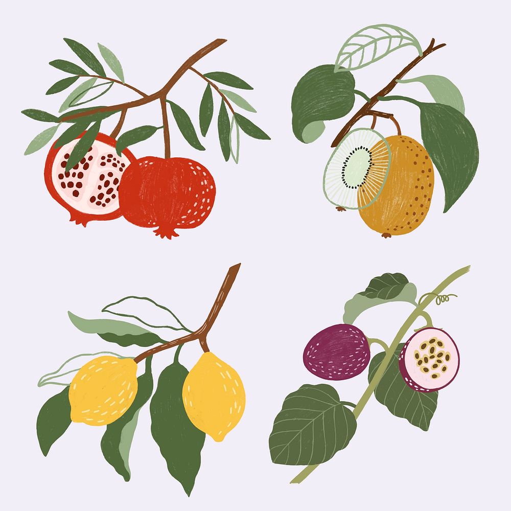 Hand drawn fruits design resource pack vector