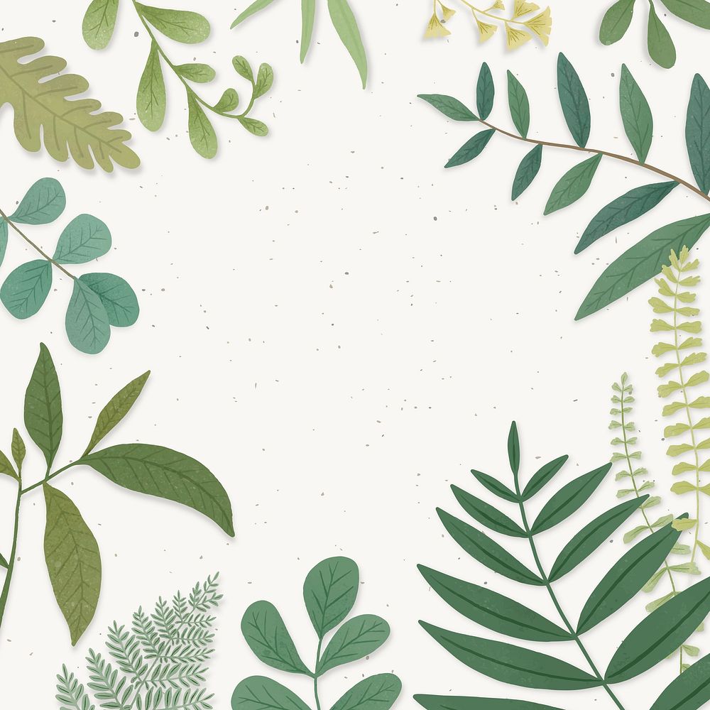 Botanical frame on a beige background vector
