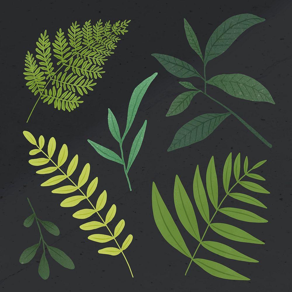 Green leaf design element set on a gray background vector
