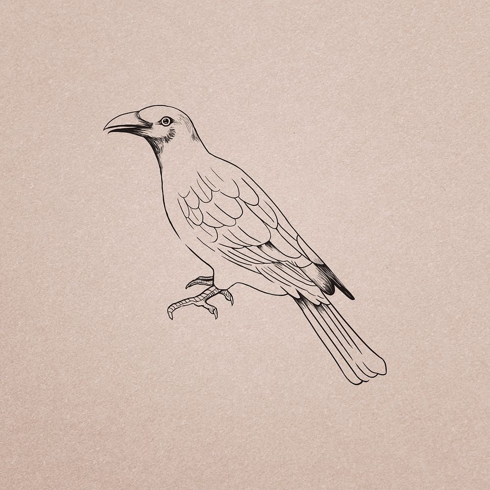 Hand drawn tanager bird illustration