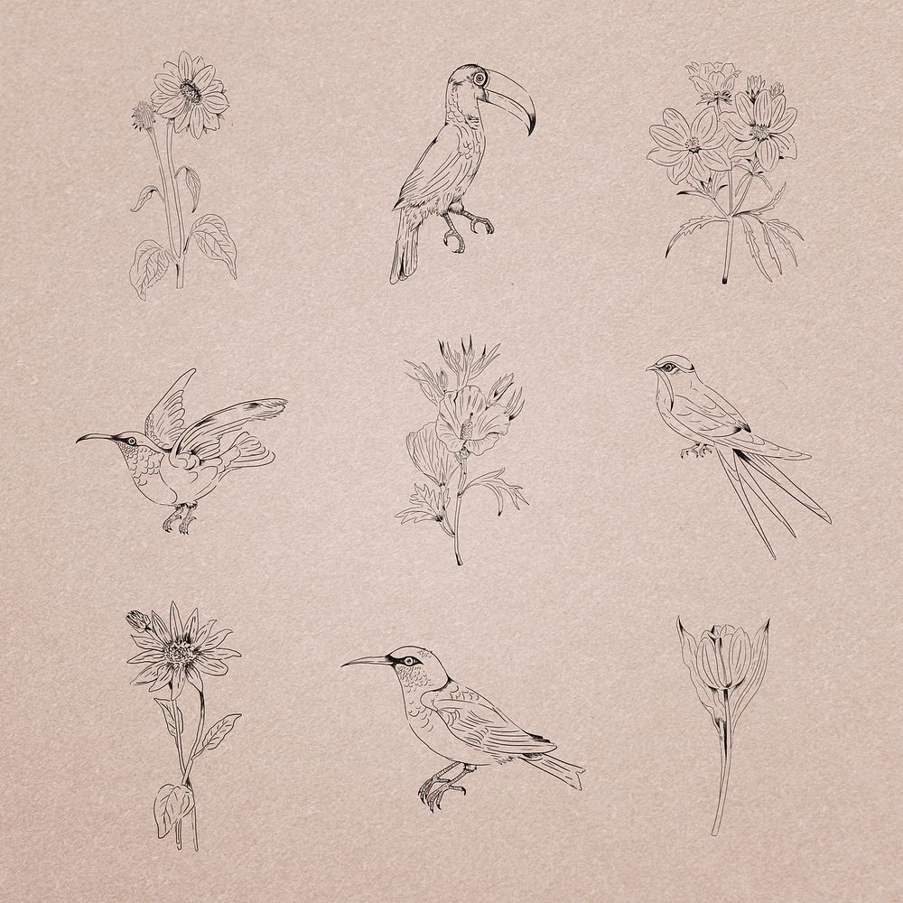 Hand drawn birds and flowers collection illustration