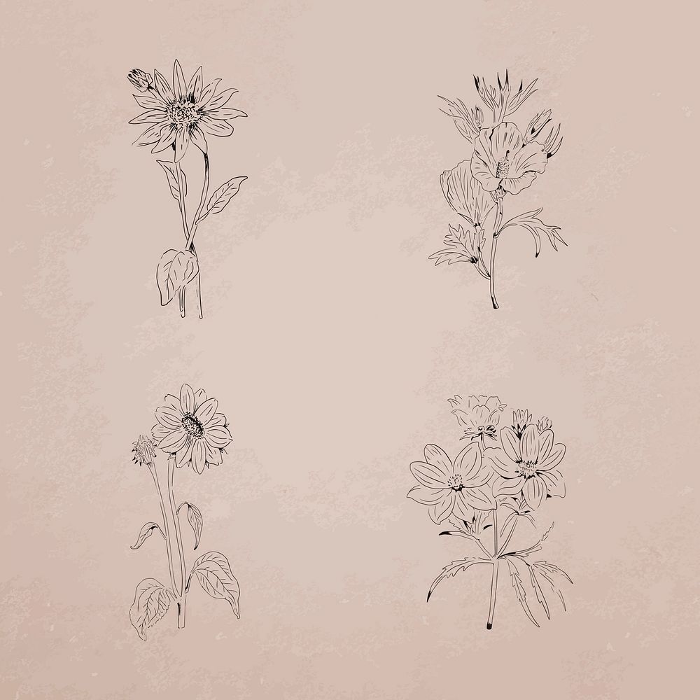 Hand drawn wildflowers collection vector