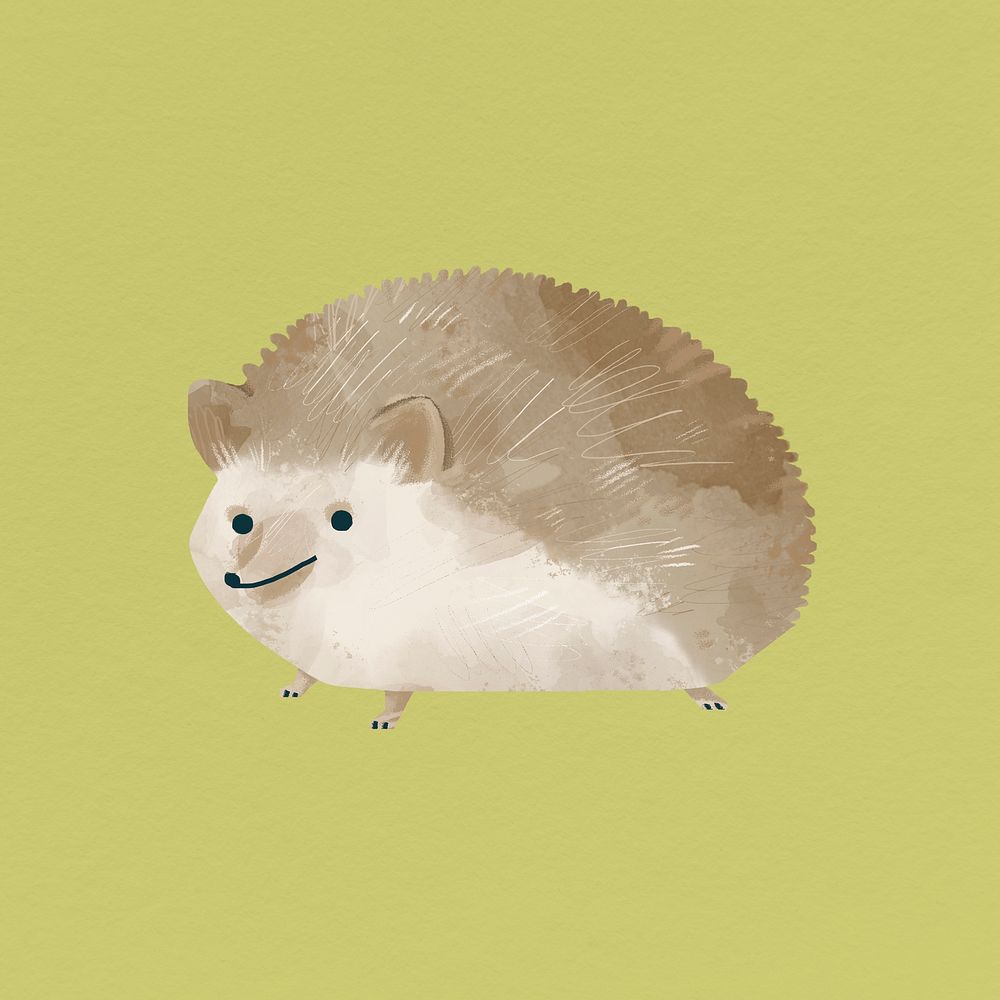 Fluffy hedgehog on a green background vector