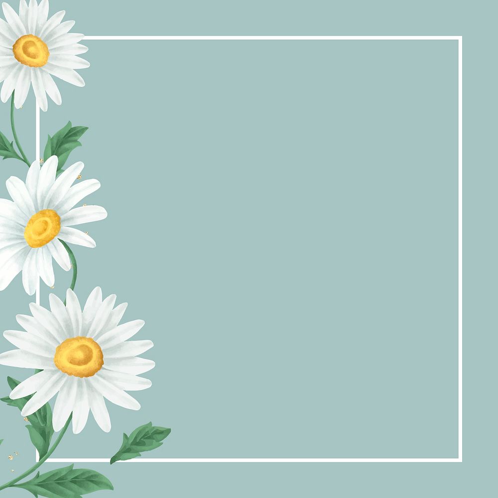 Daisy flower frame on light green background vector