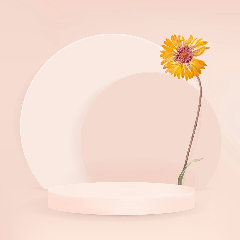 3D product backdrop vector simple style with podium and yellow daisy