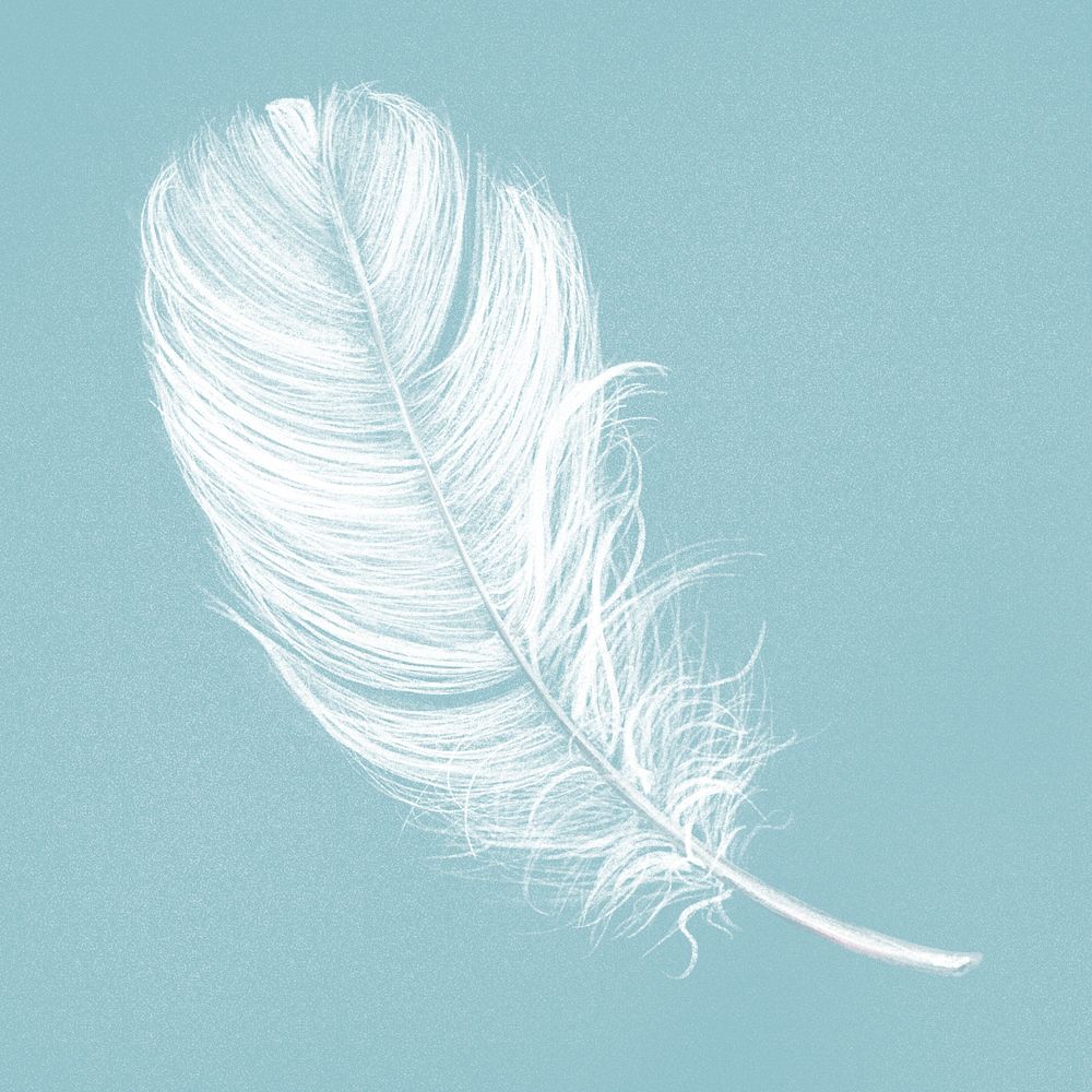 Hand drawn white feather psd on blue background