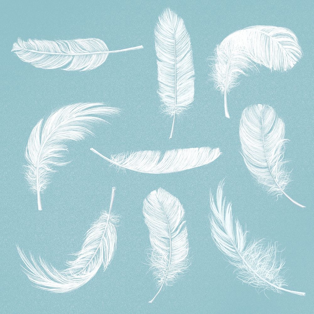 Hand drawn white feather psd element graphic set