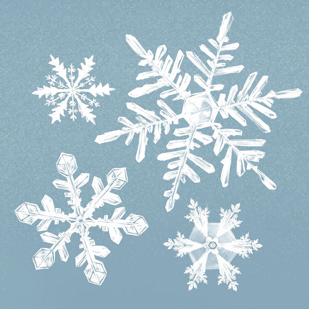 Winter snowflake illustration vector on blue background set