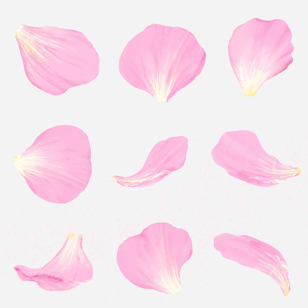 Pink flower petal illustration vector set