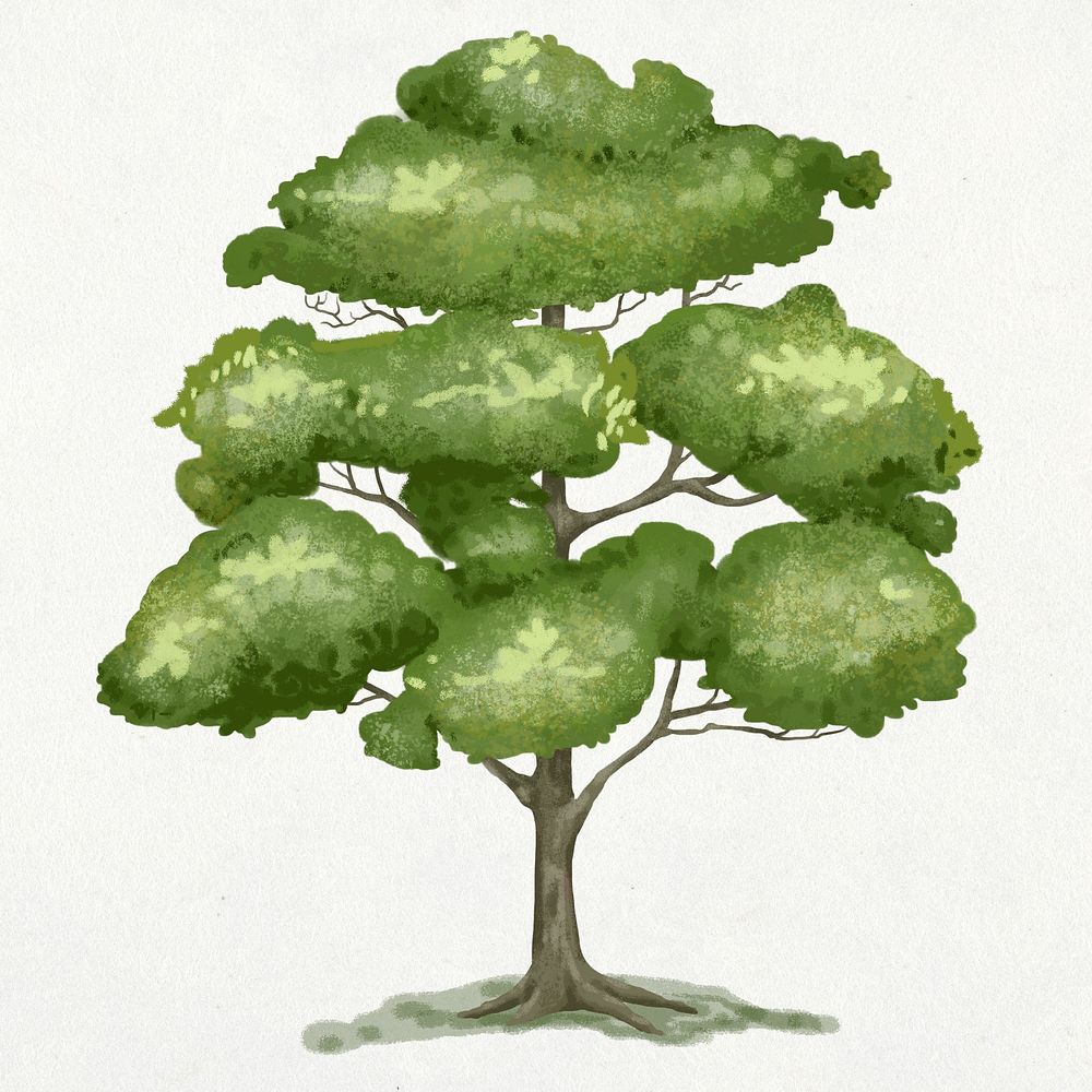 Elm tree element graphic psd on plain background