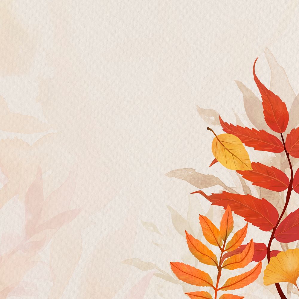 Fall leaves beige background psd