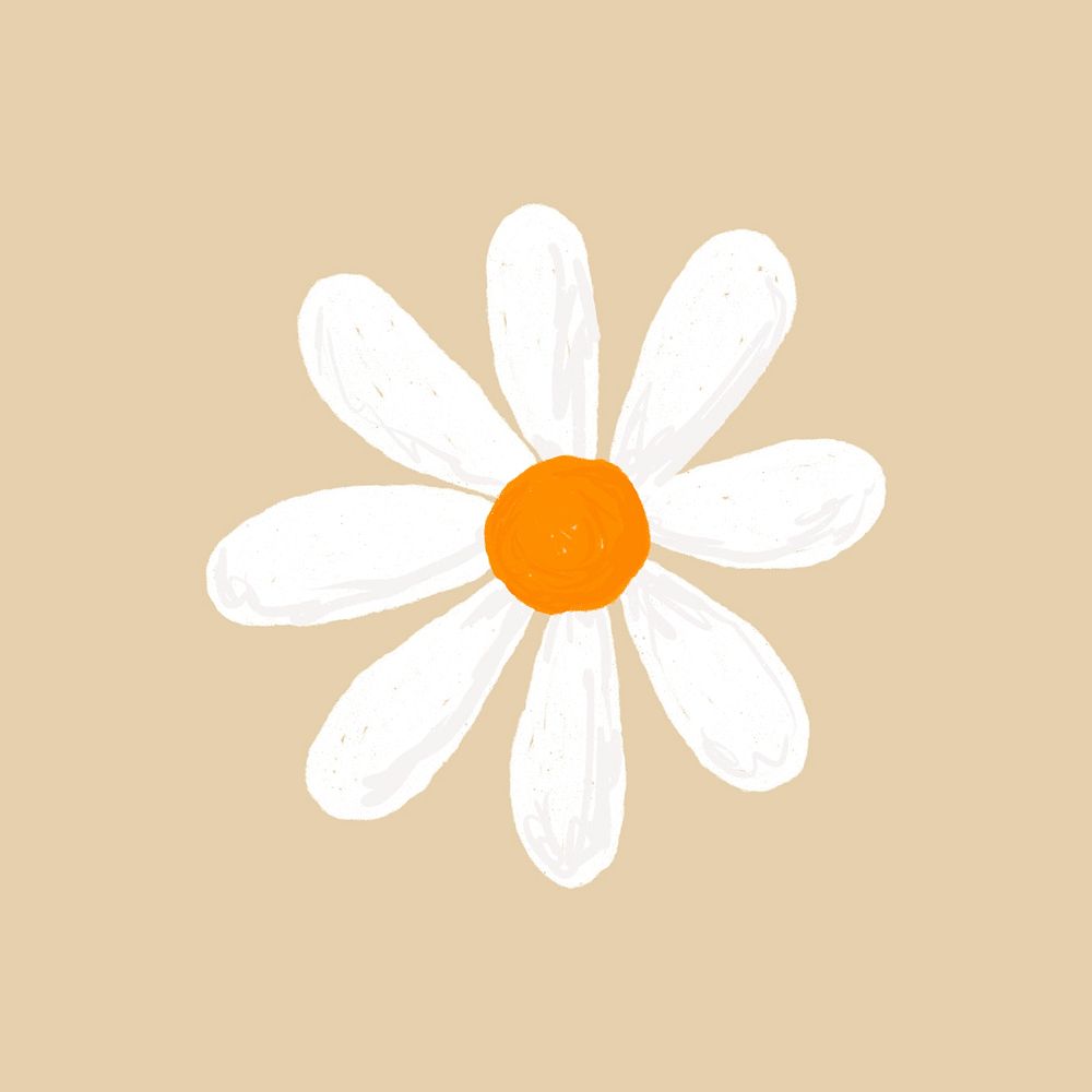 Cute daisy flower element psd in beige background hand drawn style
