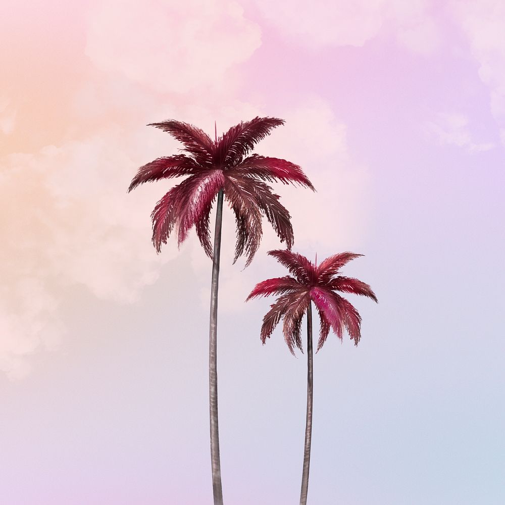 Aesthetic background psd with palm tree