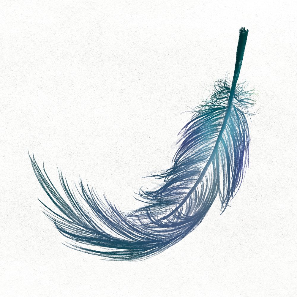 Blue feather element psd in white background