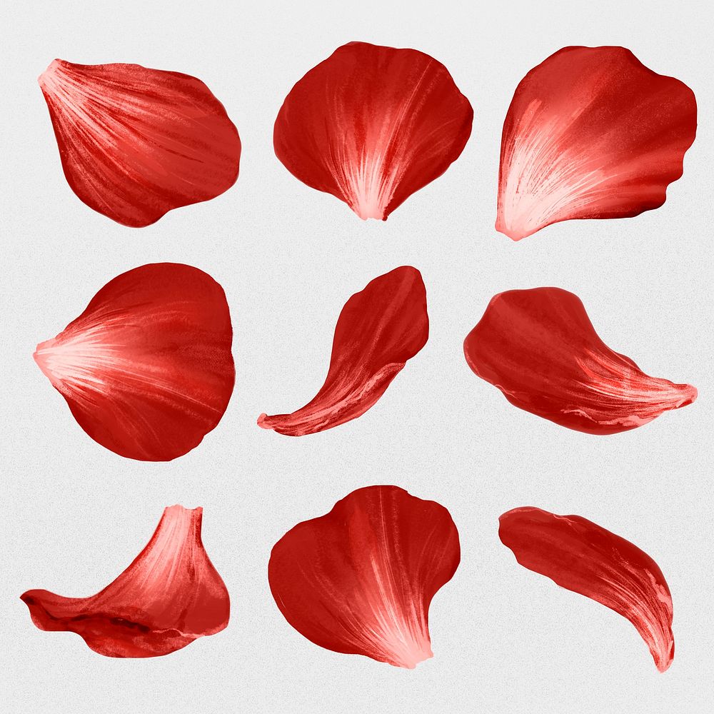 Flower petals element psd set red rose