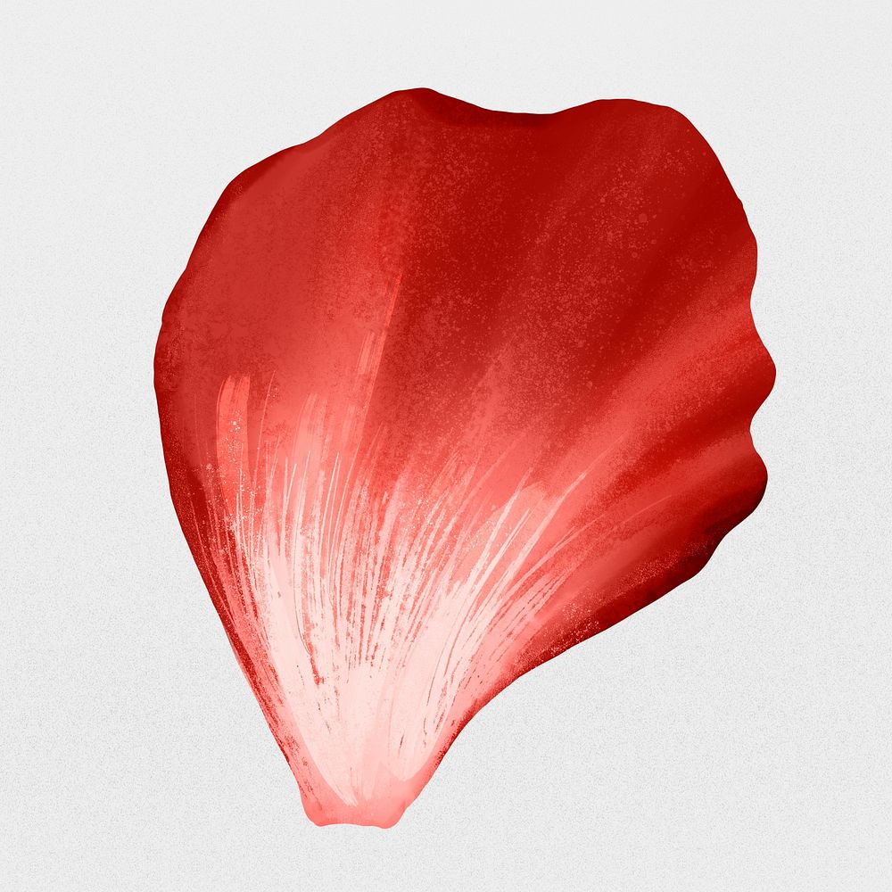 Flower petals element psd red rose