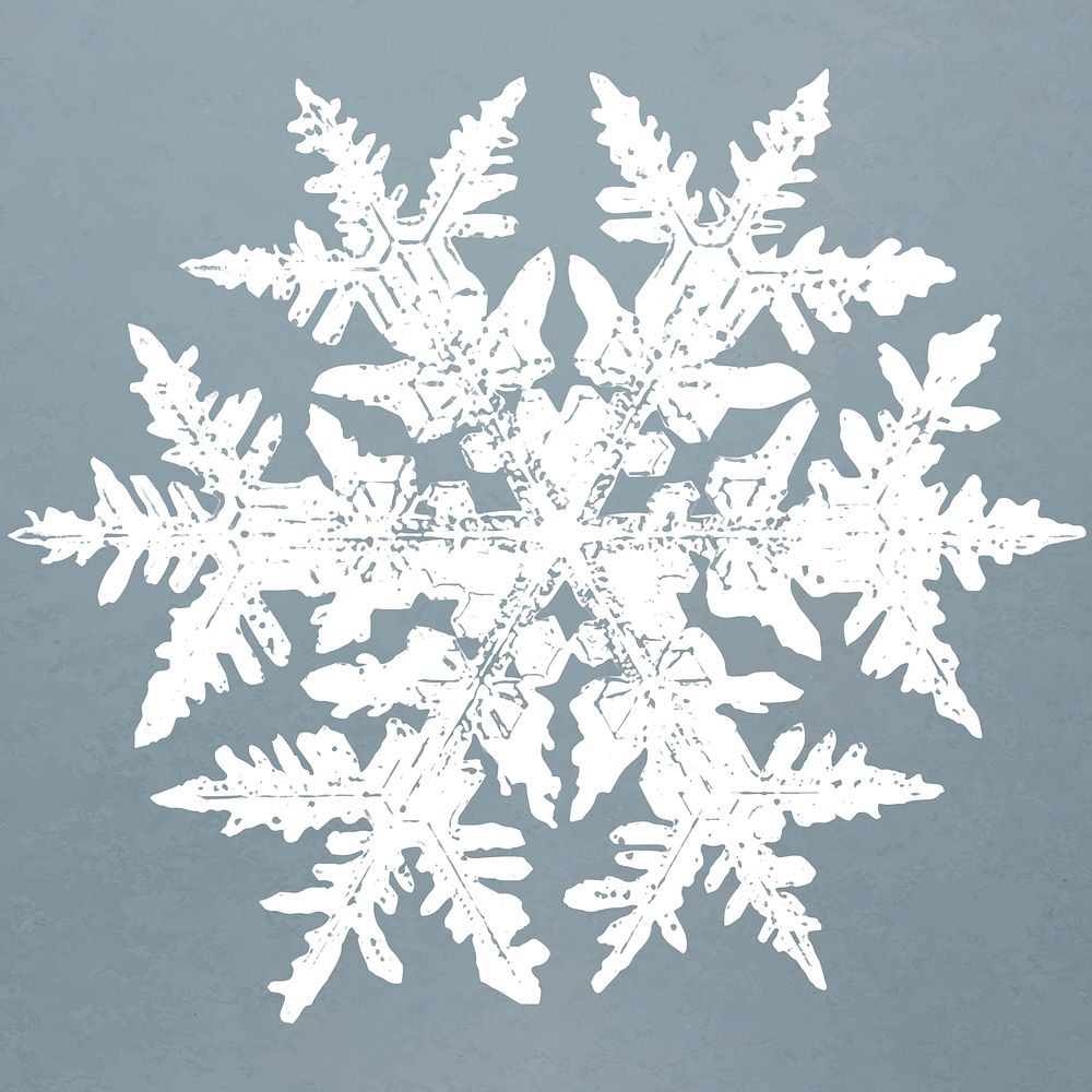 Realistic snowflakes element vector in blue background 