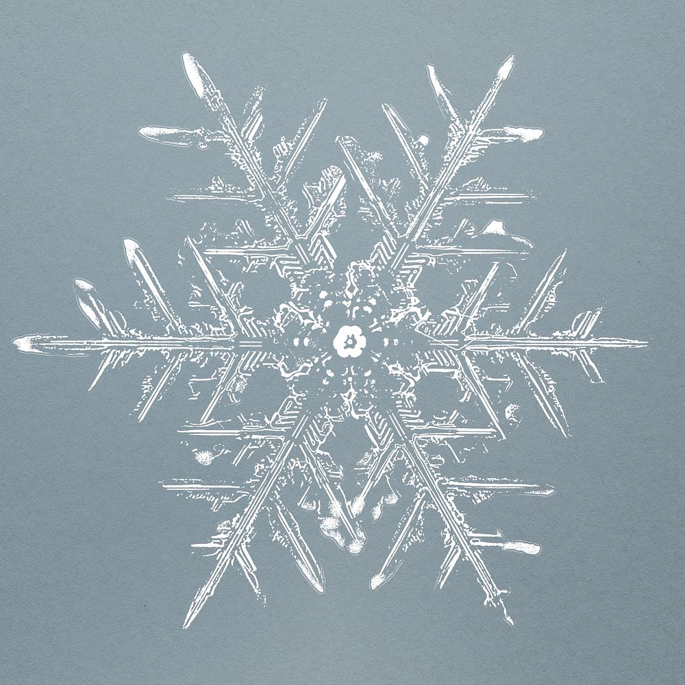 Realistic snowflakes element psd in blue background 